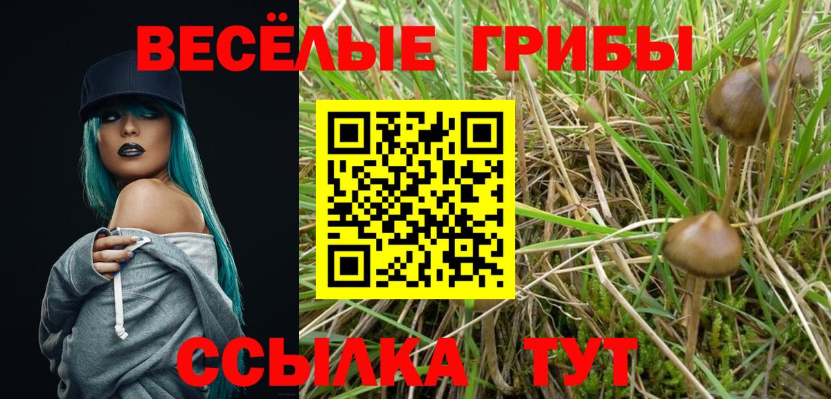 Советск  закладки  Вход с VPN  Галлюциногенные грибы Psilocybine cubensis 